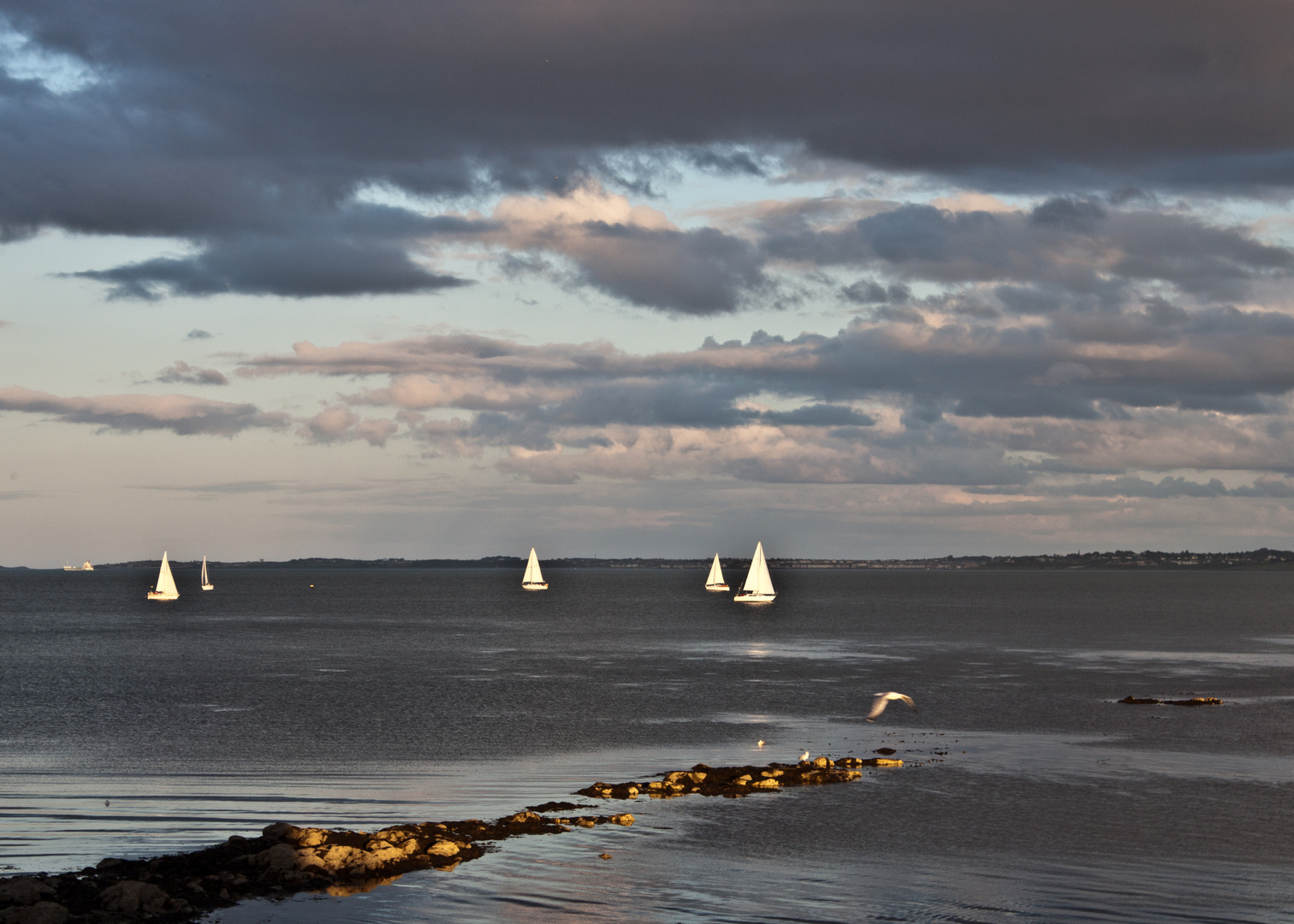 Abendstimmung in Carrickfergus