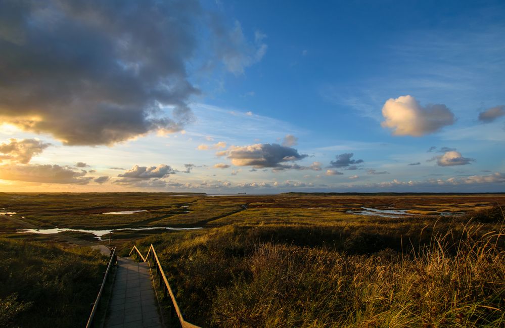 Abendstimmung in De Sluvter auf Texel