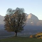 Abendstimmung in den Bergen