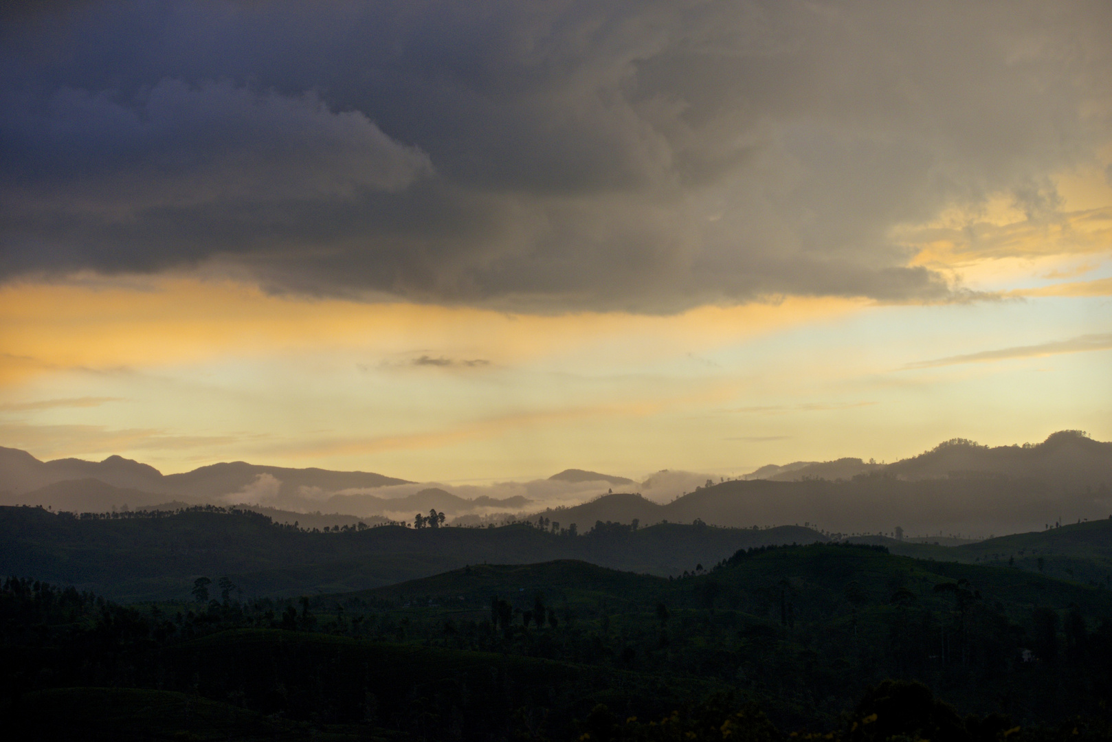 Abendstimmung in den Bergen nahe Nuwara Eliya