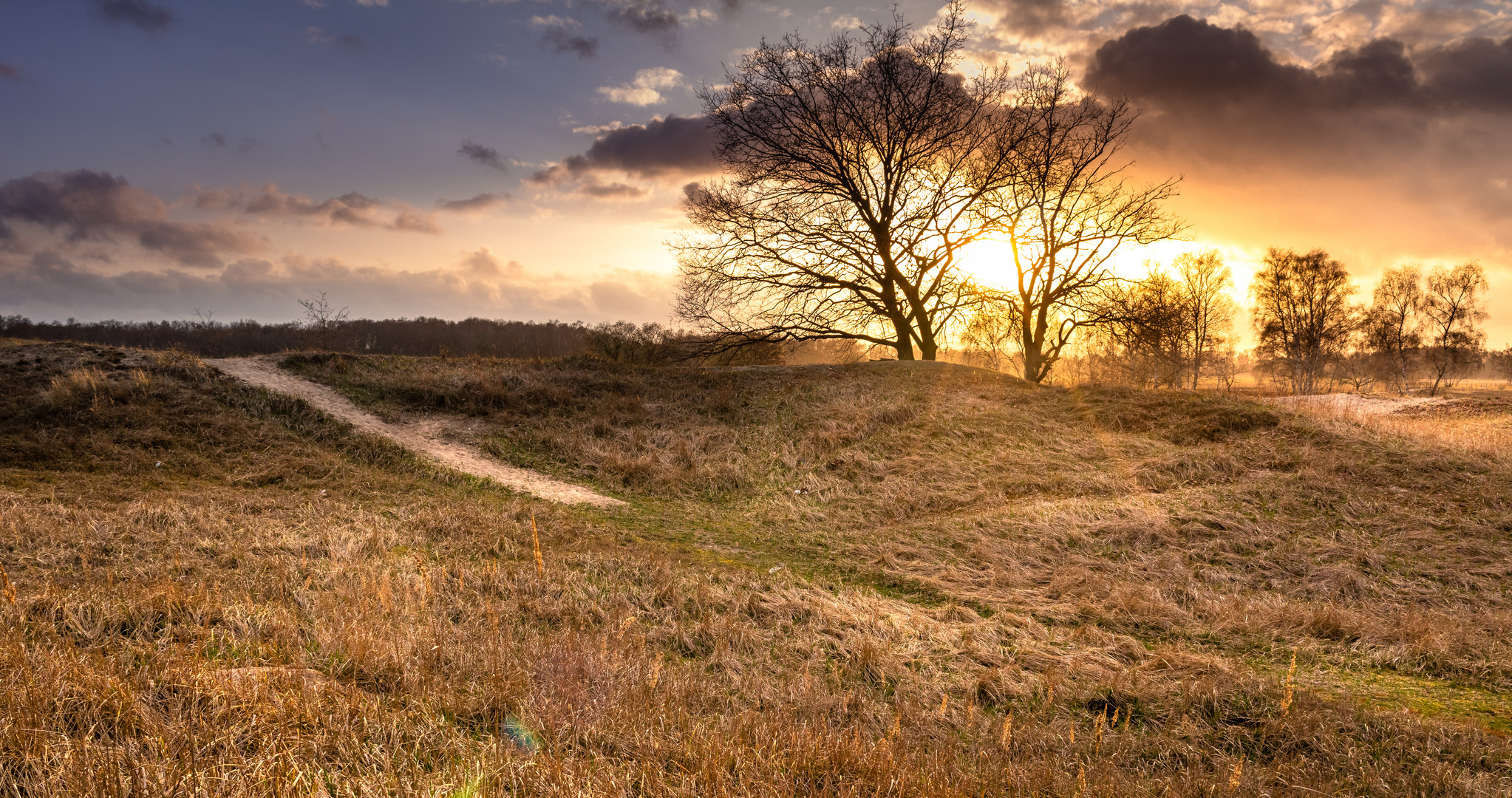 Abendstimmung in den Boberger Dünen, Hamburg