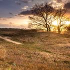 Abendstimmung in den Boberger Dünen, Hamburg