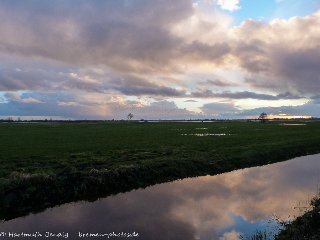 Abendstimmung in den Borgfelder Wümmewiesen