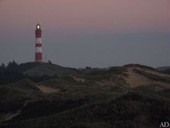 Abendstimmung in den Dünen