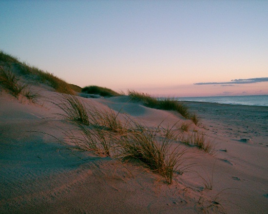 Abendstimmung in den Dünen