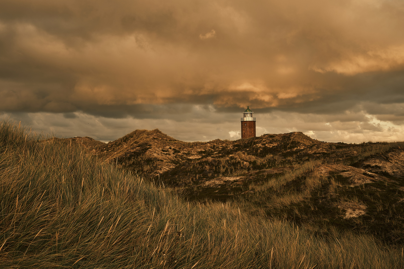 Abendstimmung in den Dünen ... 