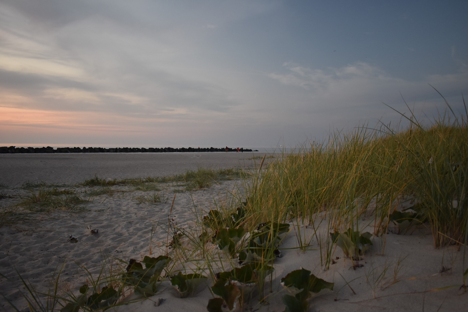 Abendstimmung in den Dünen