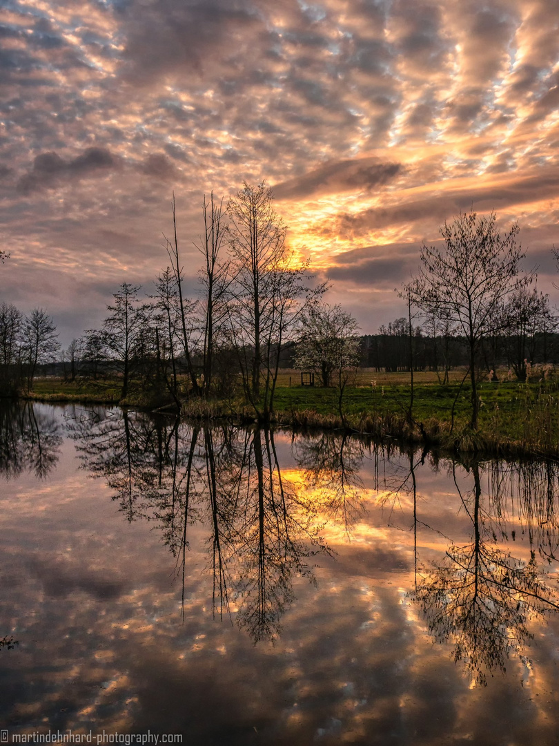 Abendstimmung in den Gosener Wiesen