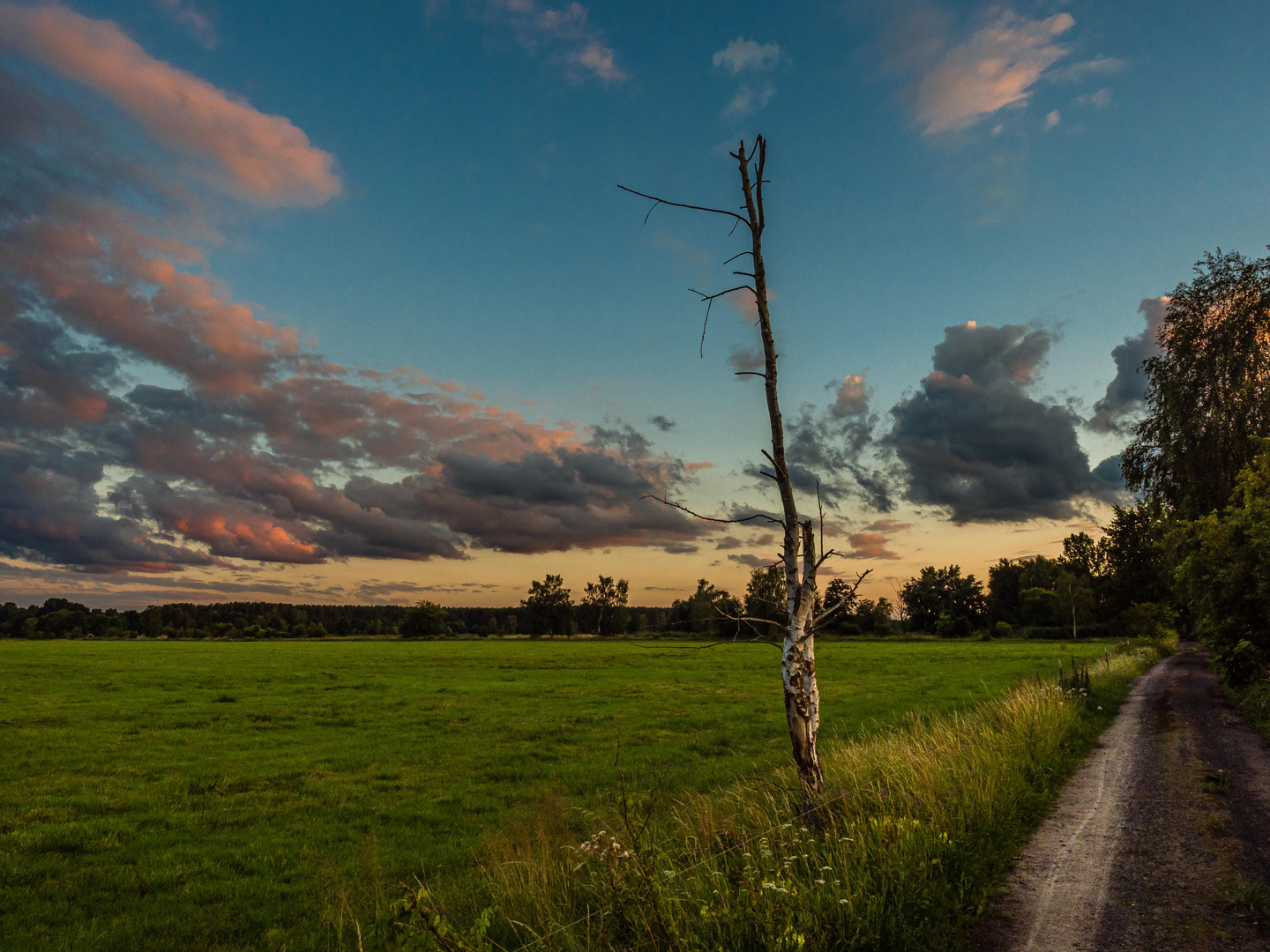 Abendstimmung in den Gosener Wiesen