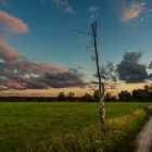 Abendstimmung in den Gosener Wiesen