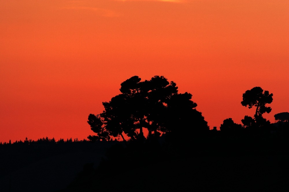 Abendstimmung in den Marken