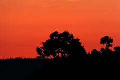 Abendstimmung in den Marken