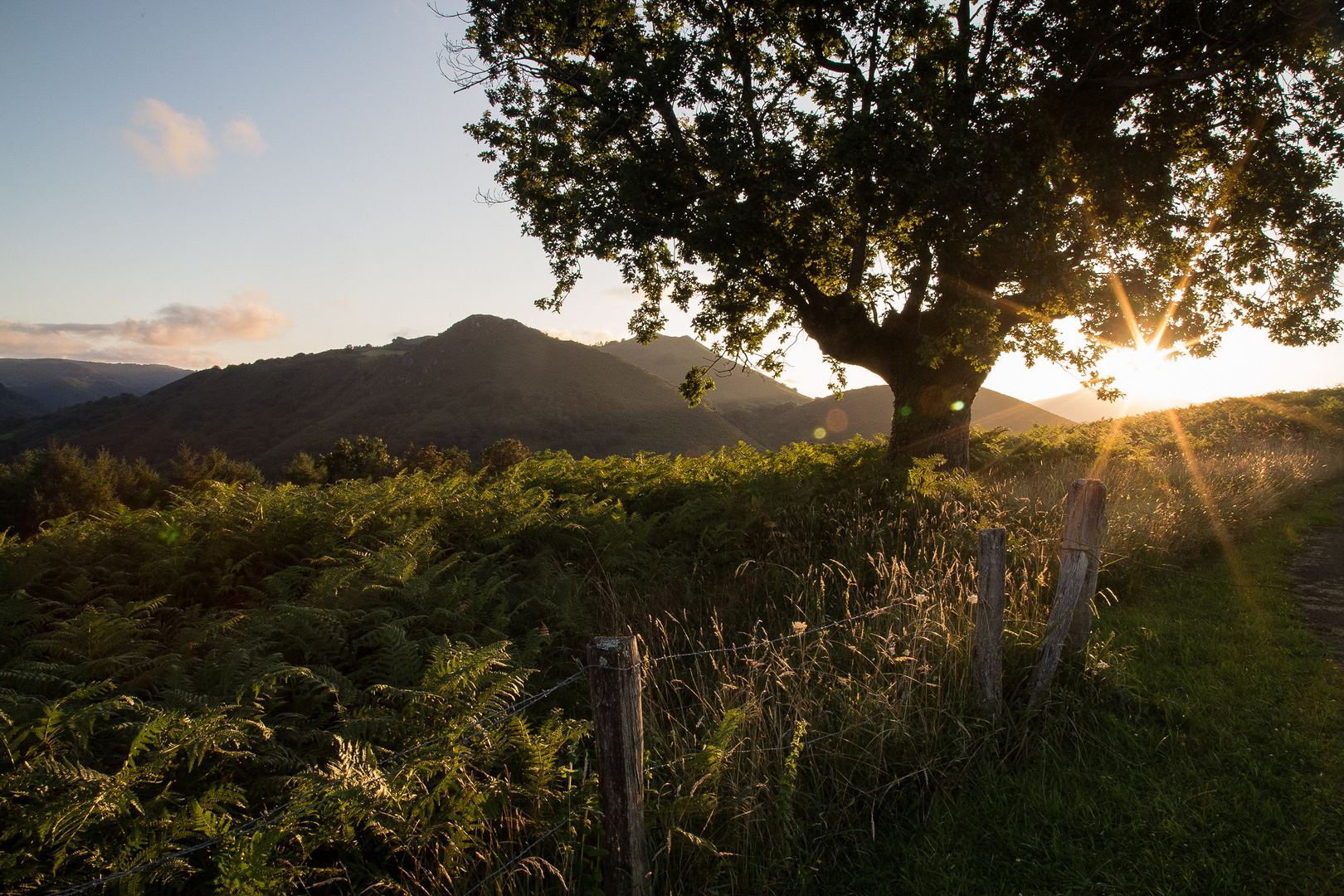 Abendstimmung in den Pyrenäen