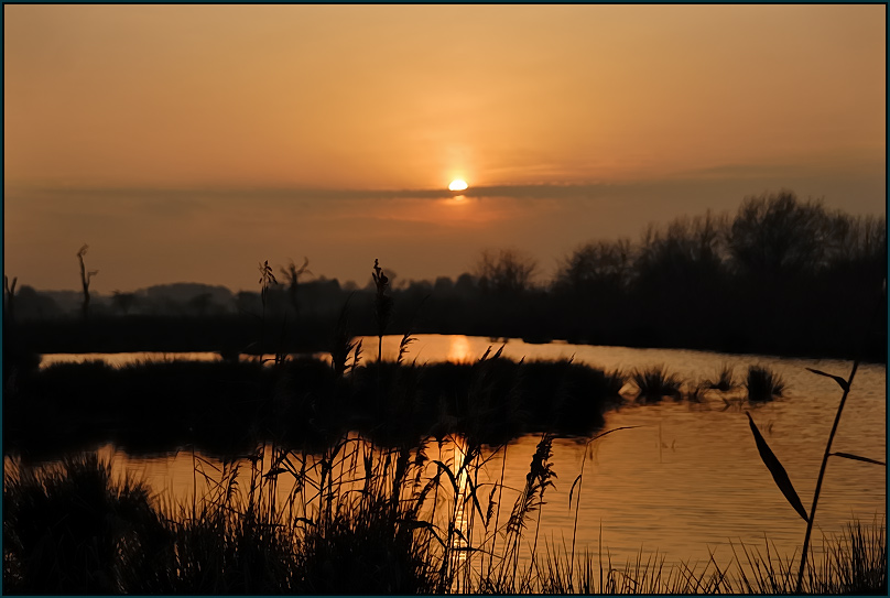 Abendstimmung in den Rieselfeldern