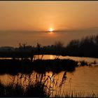 Abendstimmung in den Rieselfeldern