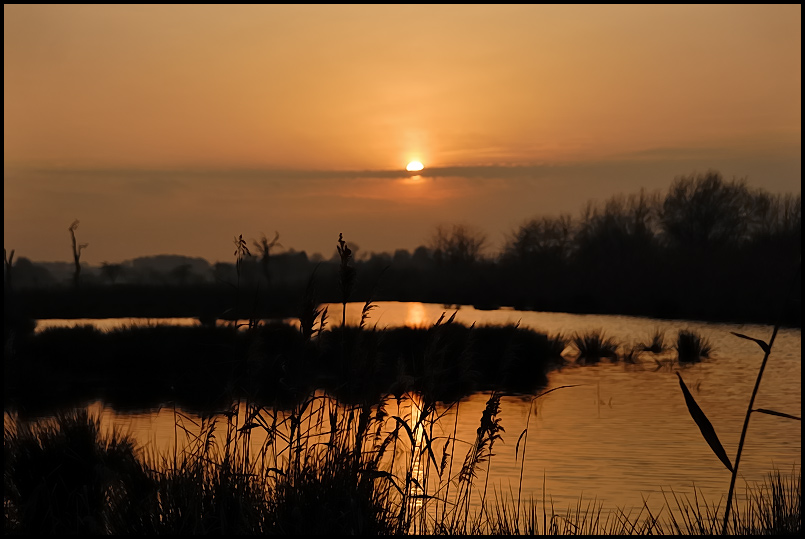 Abendstimmung in den Rieselfeldern II