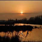 Abendstimmung in den Rieselfeldern II