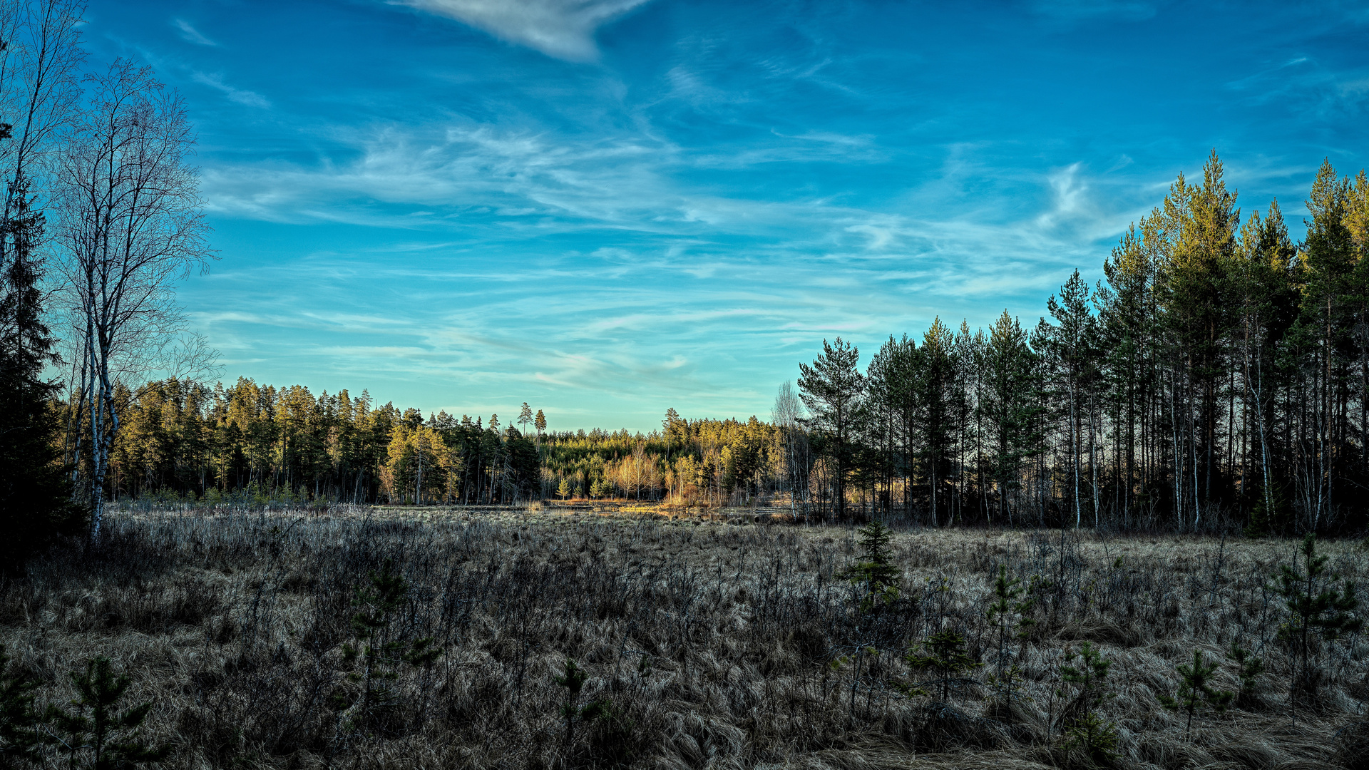 Abendstimmung in den schwedischen Highlands