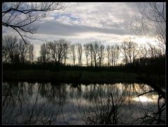 Abendstimmung in den Urdenbacher Auen