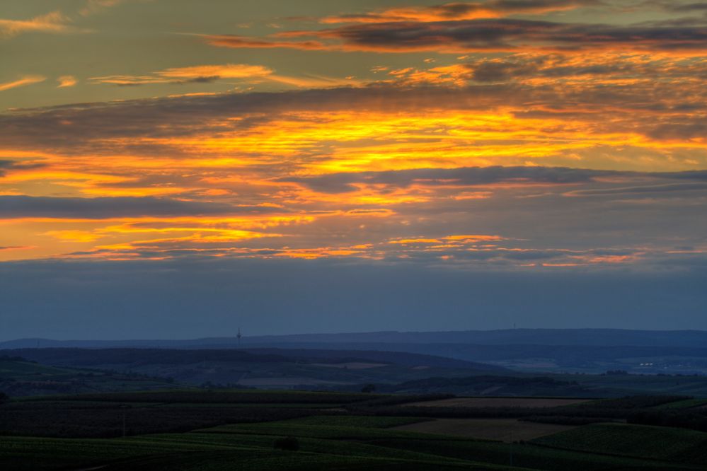 Abendstimmung in den Weinbergen