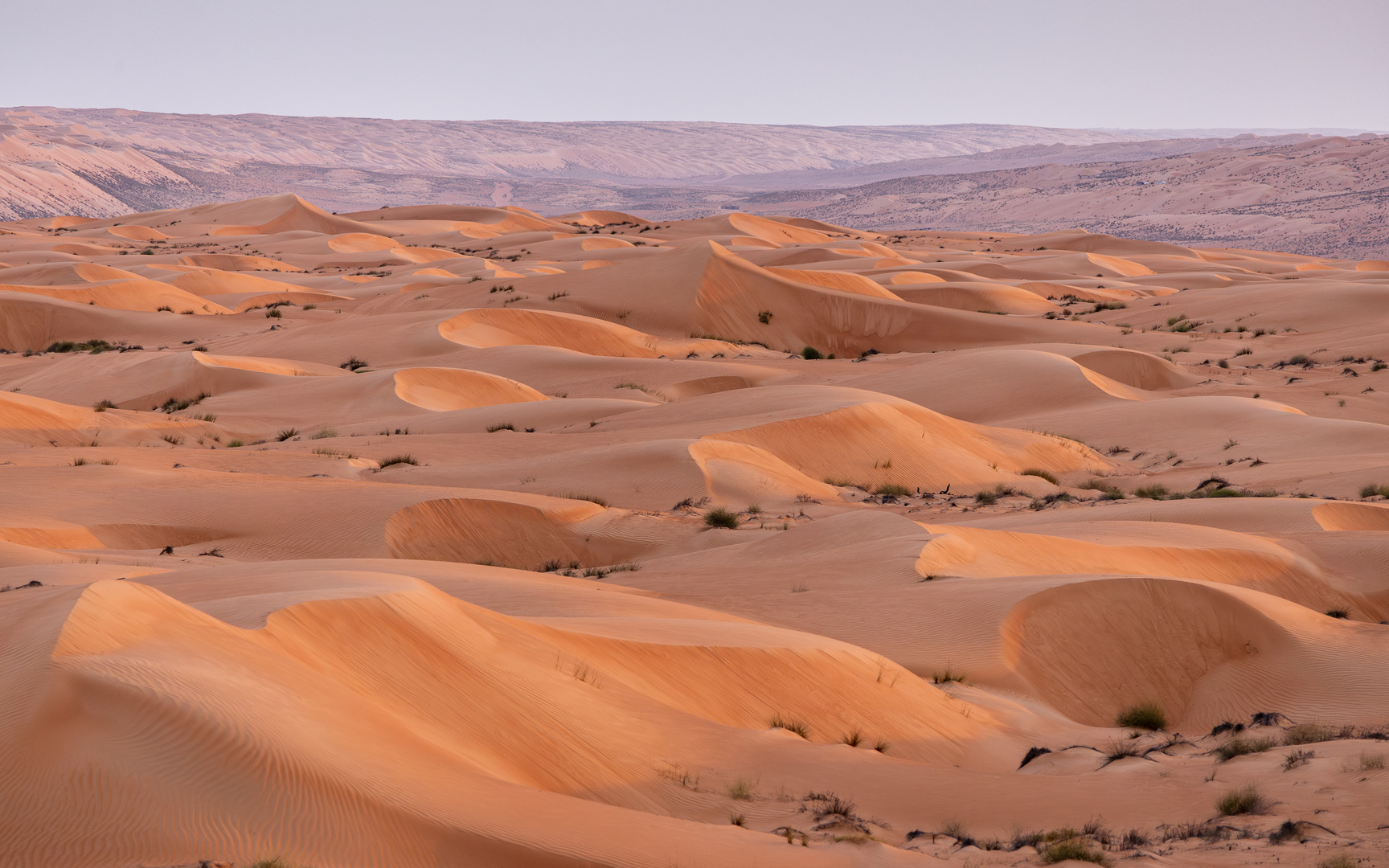 Abendstimmung in der Al Wahiba Wüste