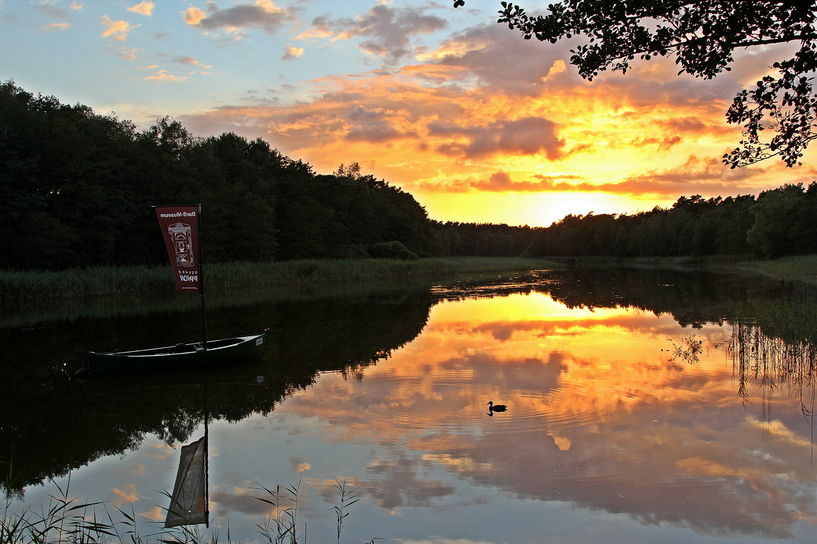 Abendstimmung in der Boddenlandschaft