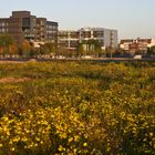 Abendstimmung in der Bremer Überseestadt