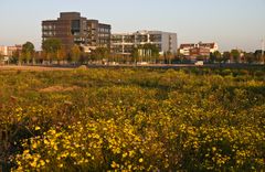 Abendstimmung in der Bremer Überseestadt