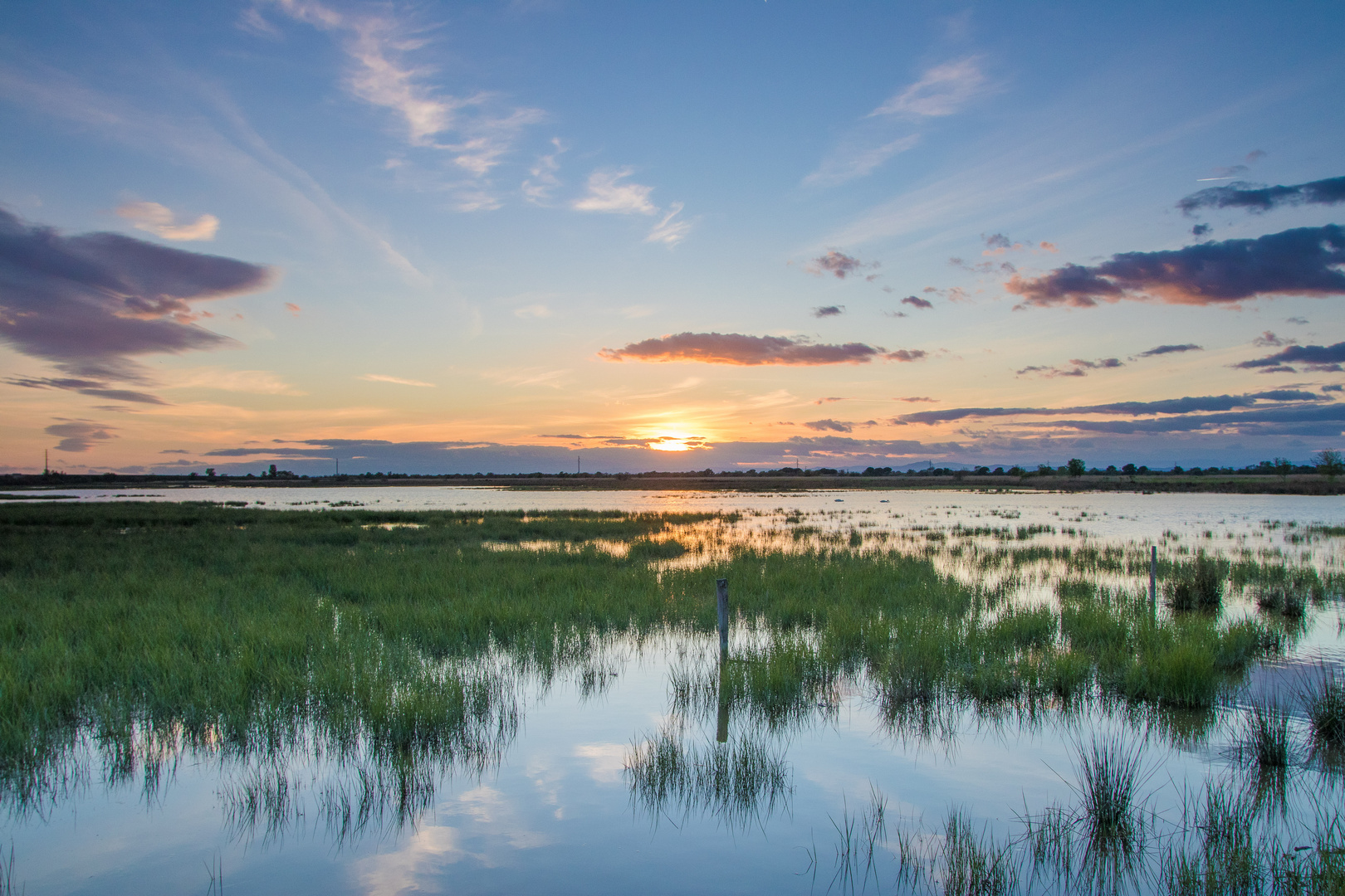 Abendstimmung in der Camargue