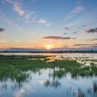 Abendstimmung in der Camargue