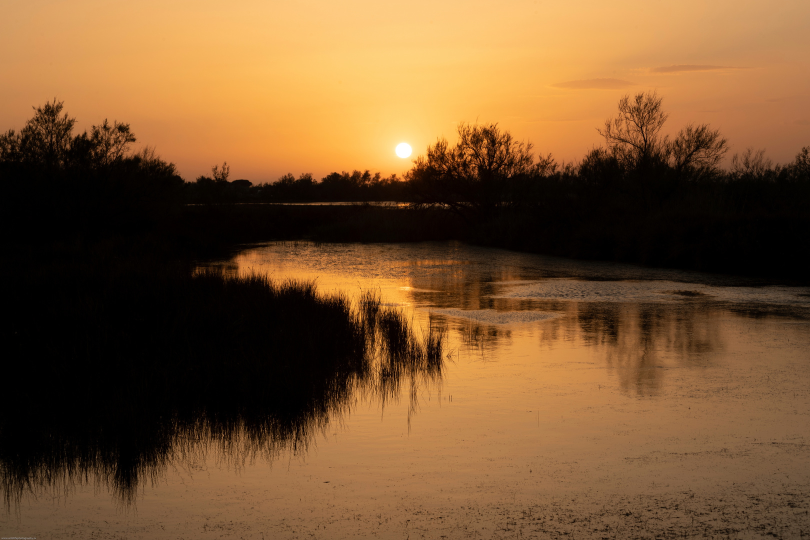 Abendstimmung in der Camargue