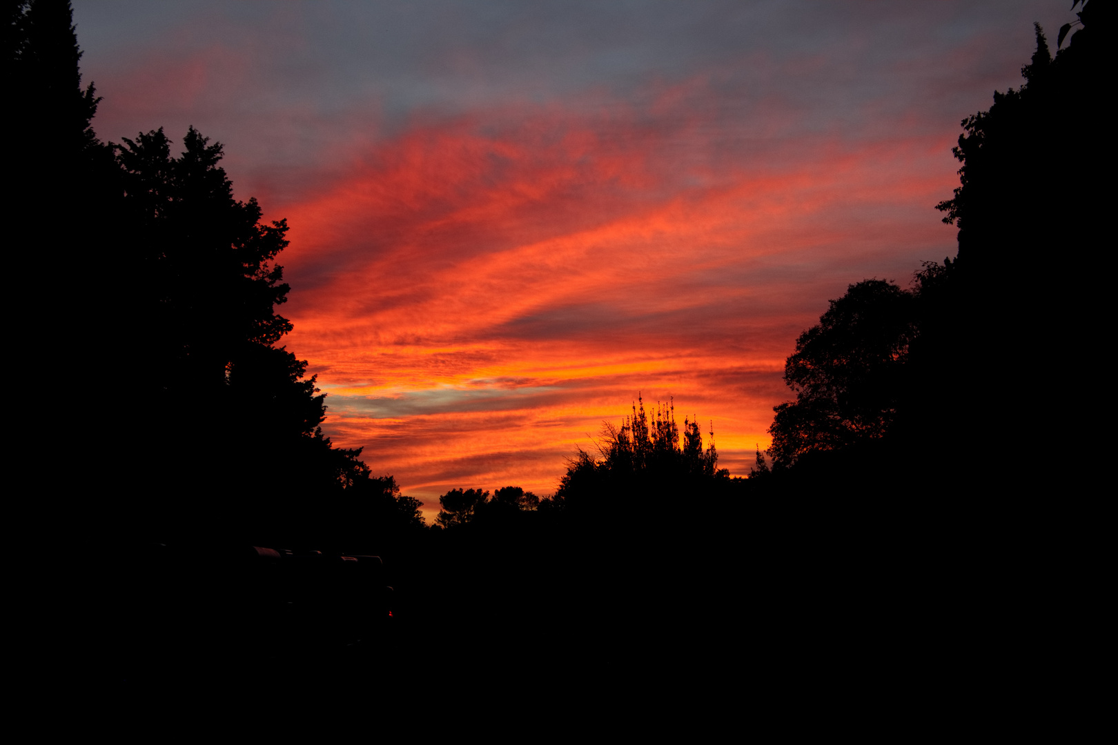 Abendstimmung in der Camarque