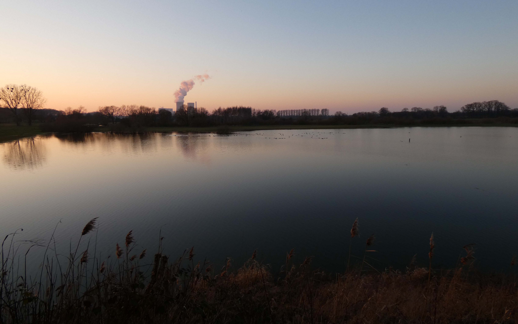 Abendstimmung in der Disselmersch bei Lippborg