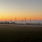 Abendstimmung in der Eifel