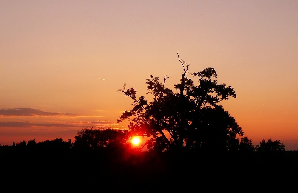 Abendstimmung in der Eifel