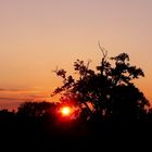 Abendstimmung in der Eifel