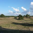 Abendstimmung in der Heide