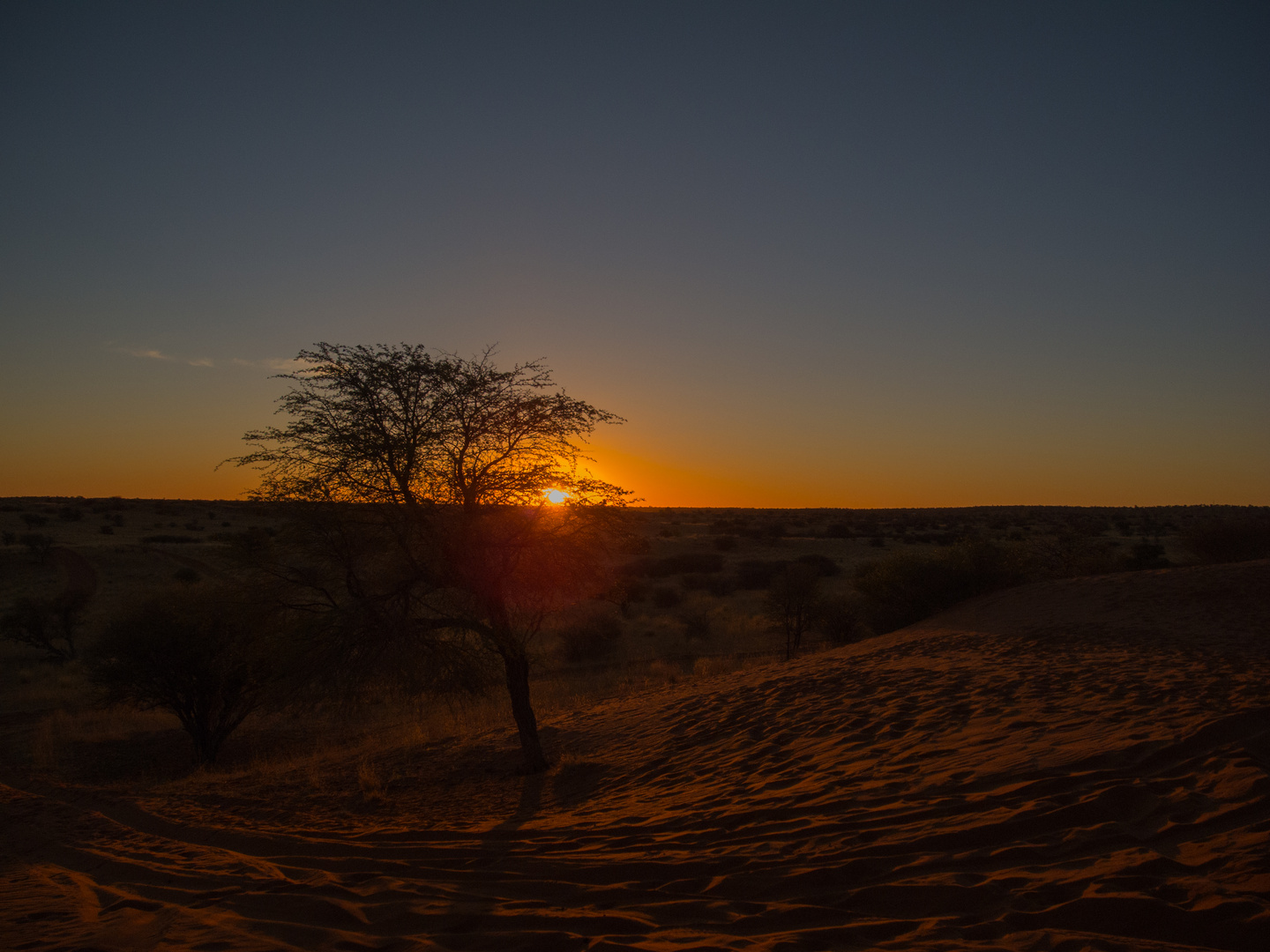 Abendstimmung in der Kalahari