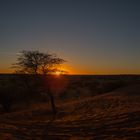 Abendstimmung in der Kalahari