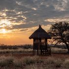 Abendstimmung in der Kalahari