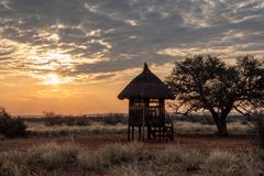 Abendstimmung in der Kalahari