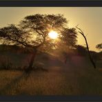 Abendstimmung in der Kalahari