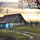 Abendstimmung in der Kellergasse