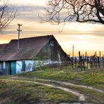 Abendstimmung in der Kellergasse