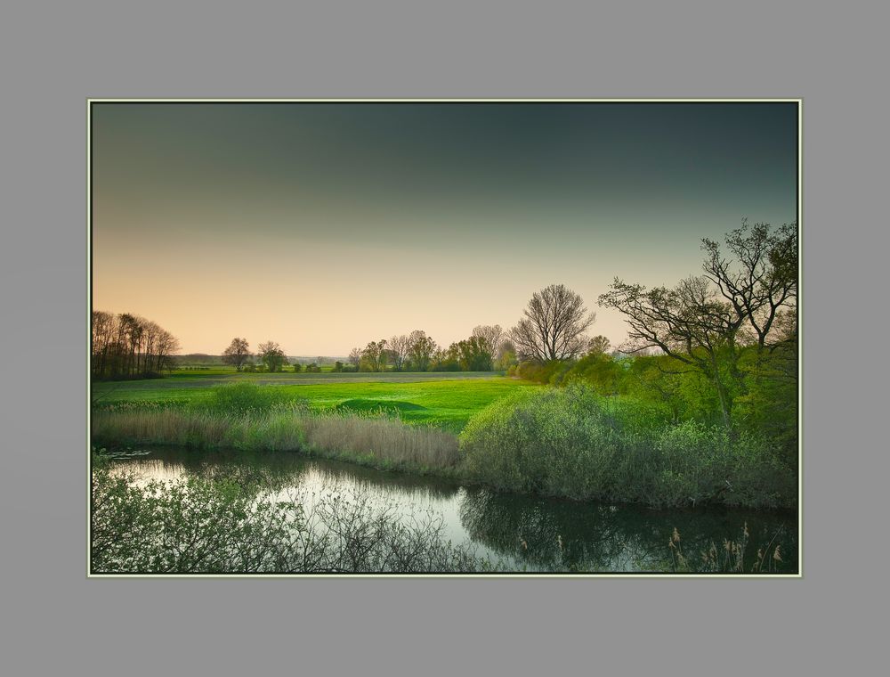 Abendstimmung in der Knoblochsaue