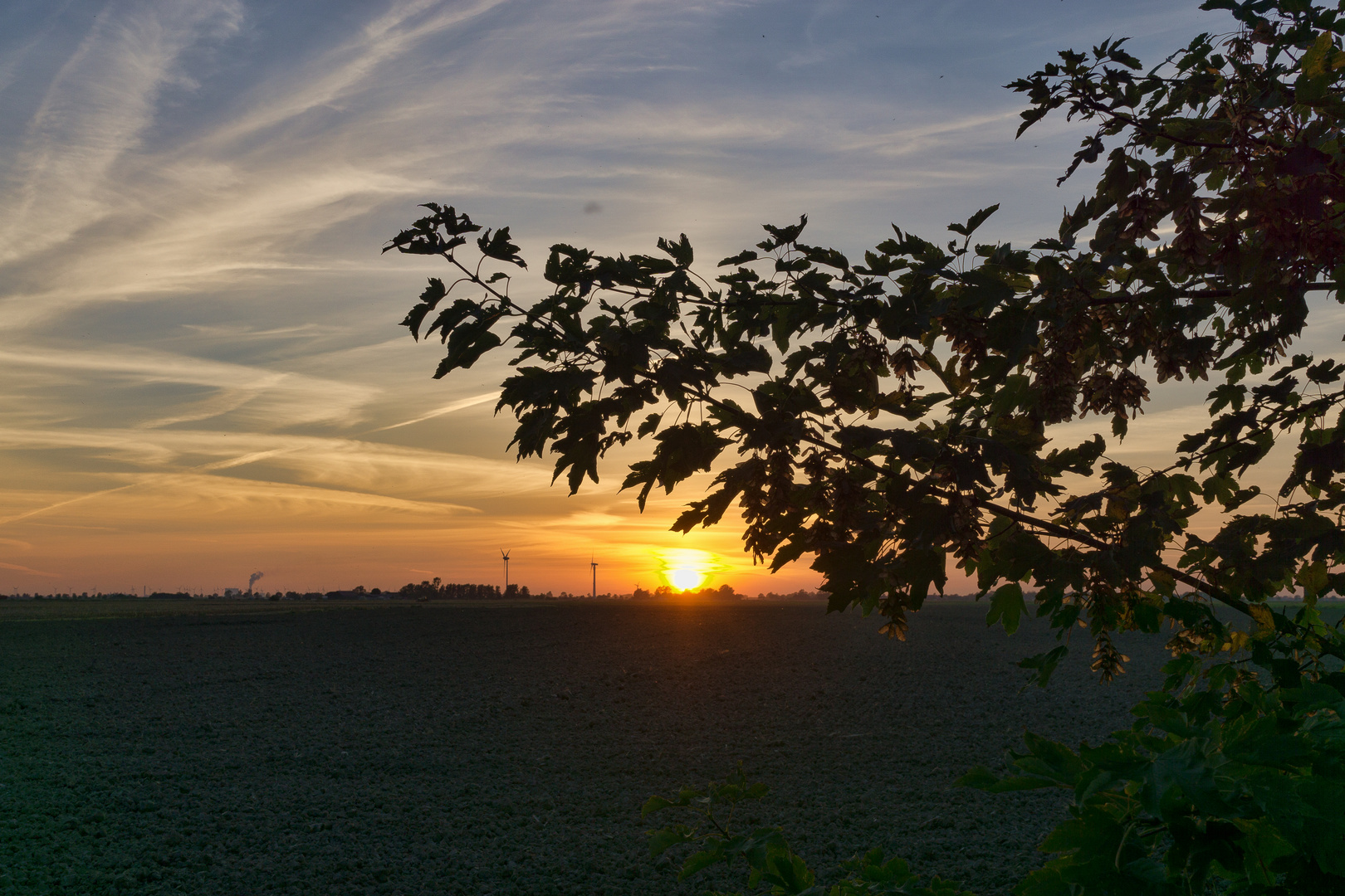 Abendstimmung in der Krummhörn