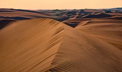 Abendstimmung in der Liwa-Wüste