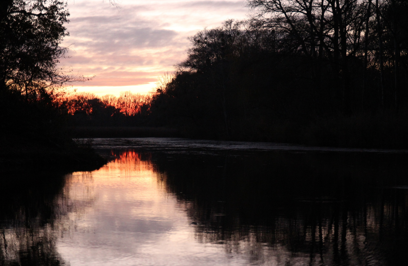 Abendstimmung in der Lobau