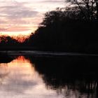 Abendstimmung in der Lobau