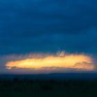 Abendstimmung in der Maasai Mara